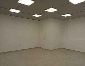 Одесса//Радужный массив